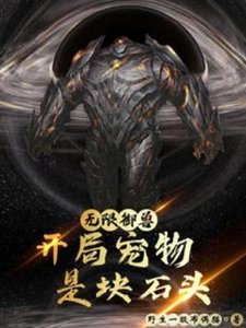 無限御獸:開局寵物是塊石頭
