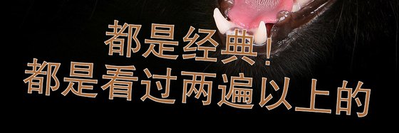 都是经典！都是看过两遍以上的